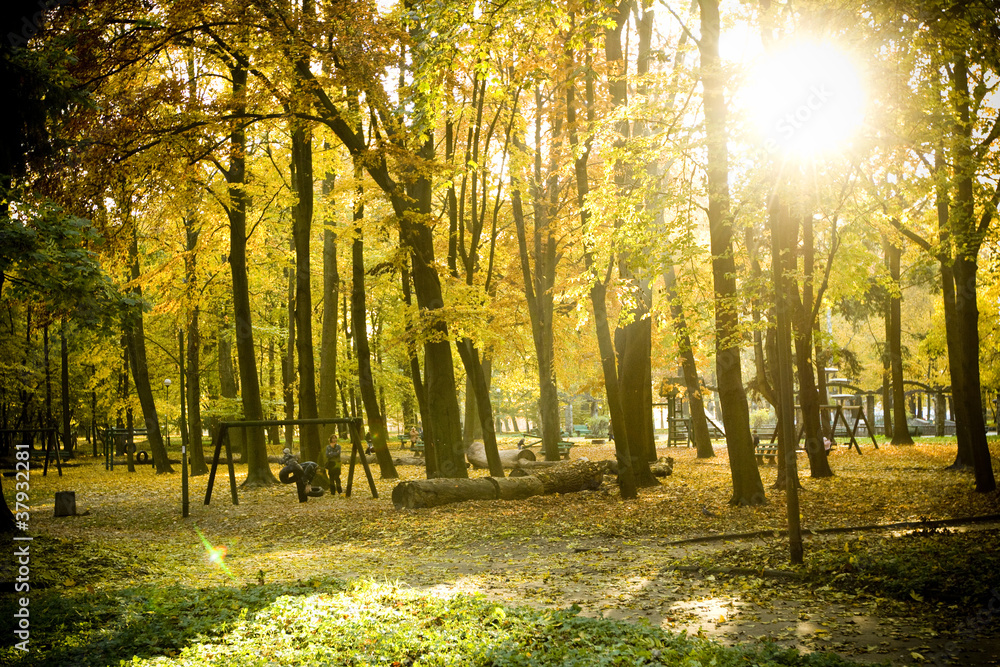 Obraz premium Park jesień
