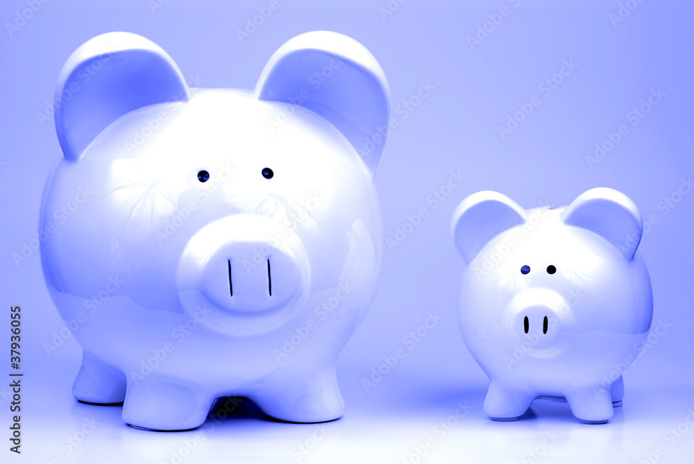 Two Piggy Banks Two Piggy Banks