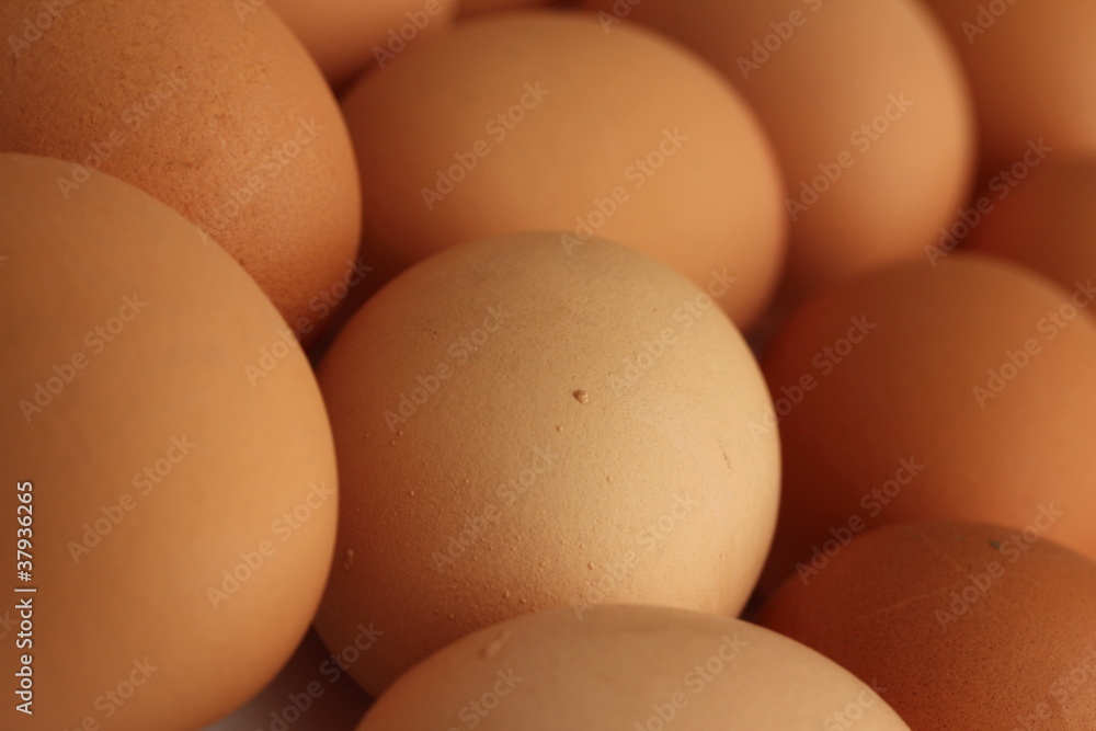 plain eggs plain eggs