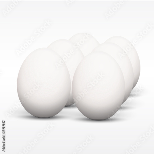 egg