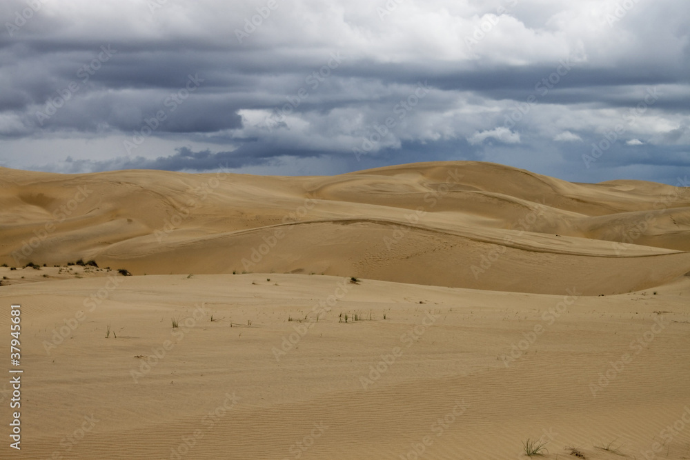 Sand dunes at Thar desert, India