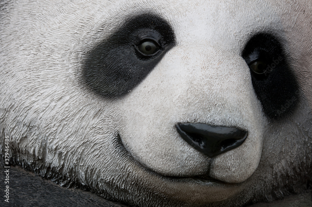 Naklejka premium close up of panda