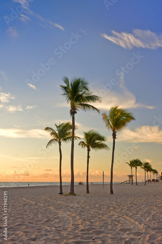 Sunrise in Miami Beach Florida with palm trees