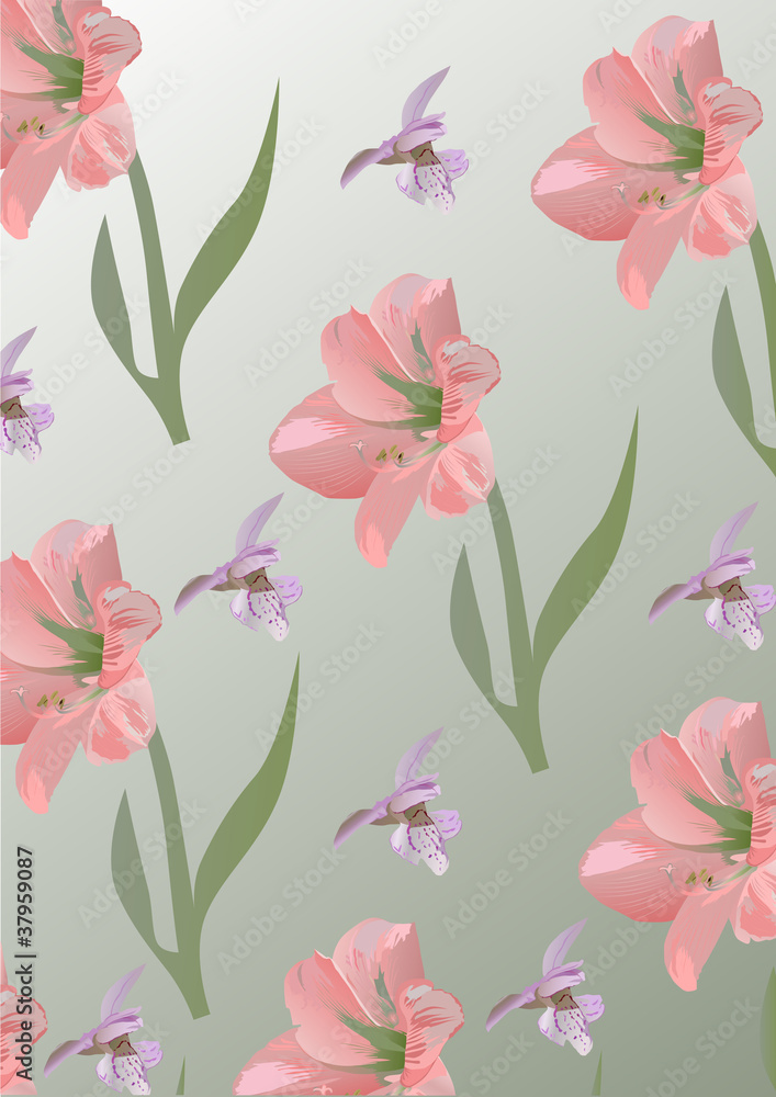 lily and orchid flowers background