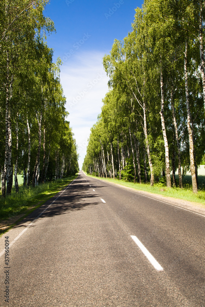 Fototapeta premium The asphalted road