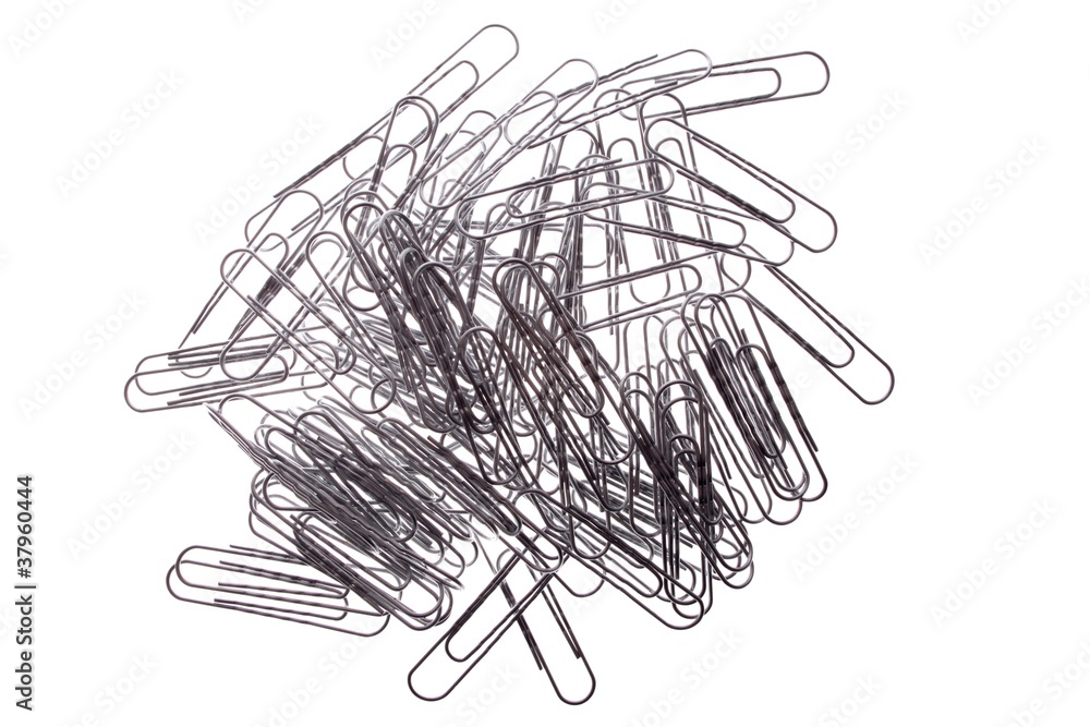 silver paper clips (white background) silver paper clips (white background)