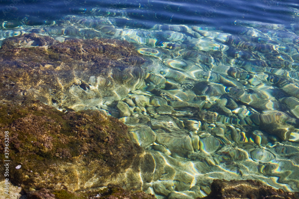 Obraz premium Seabed