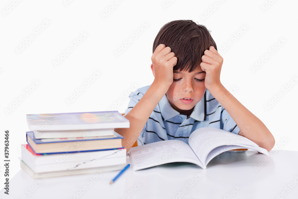 Focused boy learning his lessons Focused boy learning his lessons