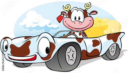 cow with cheese go by car