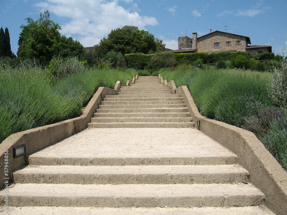 scalinata nel verde scalinata nel verde