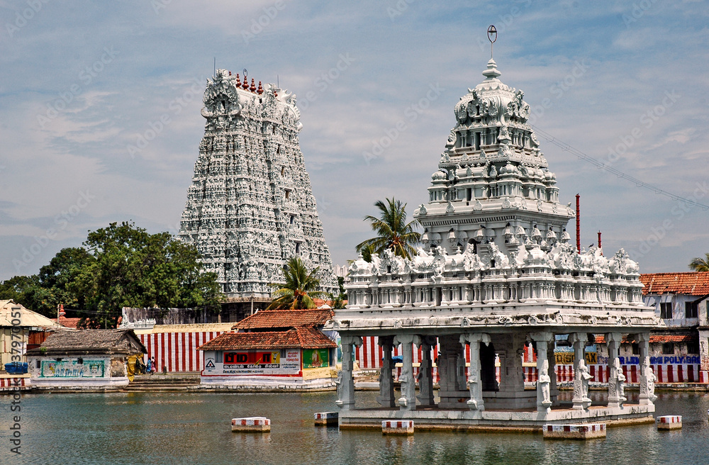 Ταπετσαρία Suchindram o Suchindrum temple, Tamil Nadu