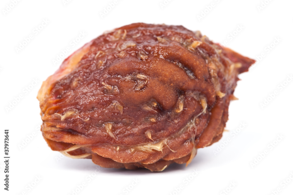 Closeup of peach fruit stone isolated on white background Closeup of peach fruit stone isolated on white background