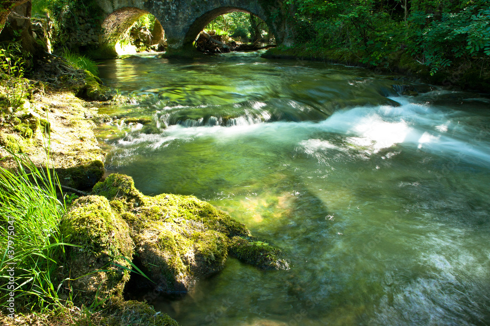 A flowing stream A flowing stream