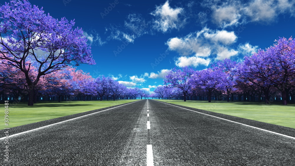 Fototapeta premium 道路