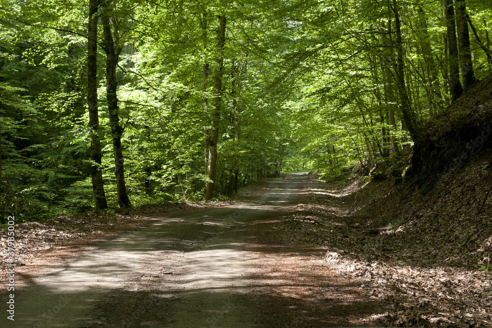 Obraz premium Manzara6