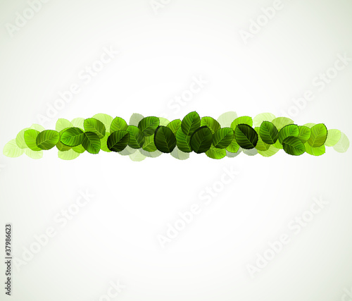 fresh green leaves design