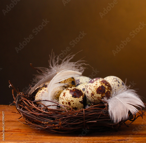 quail eggs in nest on wooden table on brown background