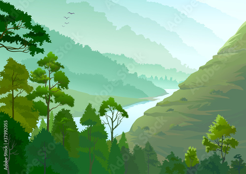 RIVER FLOWING THROUGH AMAZON FOREST