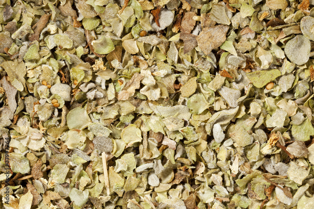 marjoram seasoning at life-size marjoram seasoning at life-size