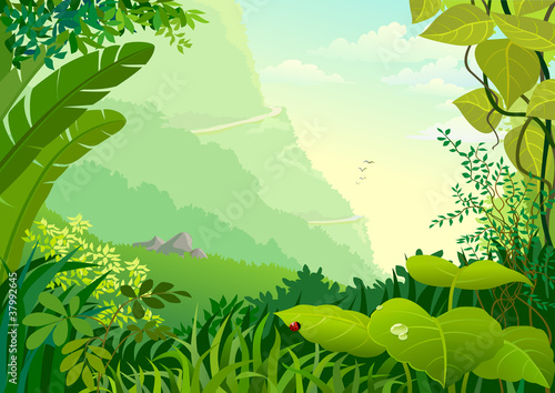 AMAZON JUNGLE TREES  AND WILDERNESS