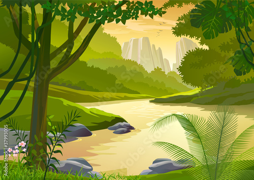 TROPICAL RAIN FOREST TREES AND FRESH WATER STREAM