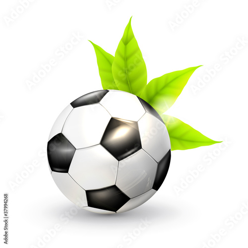 Soccer ball and green leaves