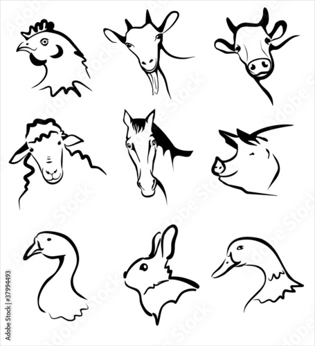 farm animals collection of icons