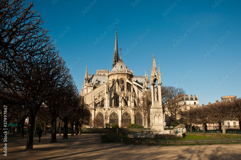 Obraz premium Notre dame de Paris