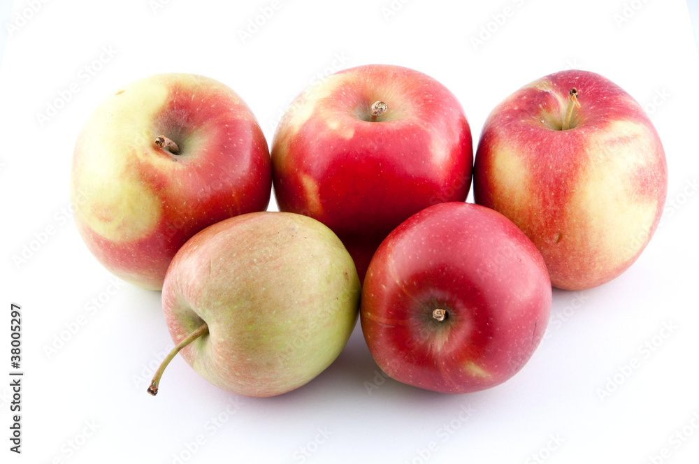 apples apples