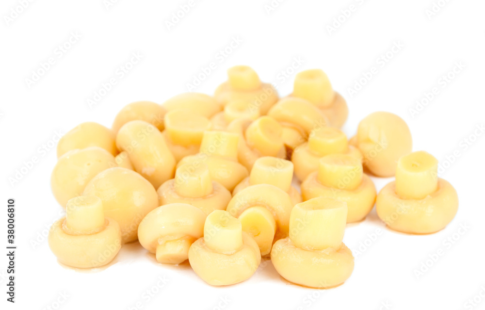 Fototapeta premium mushrooms
