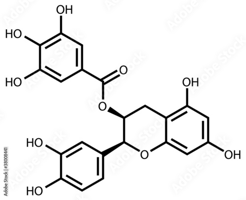 Epicatechin gallate structural formula