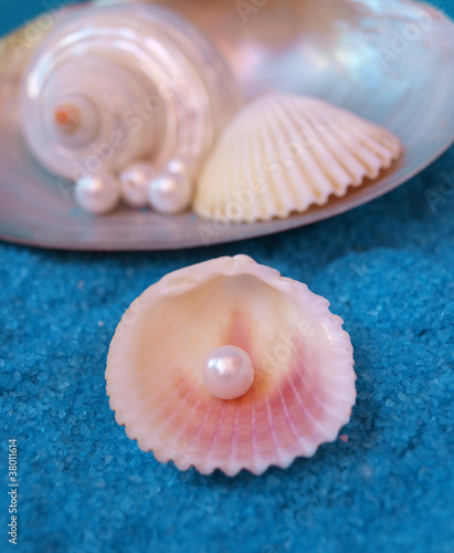 pearl and shells