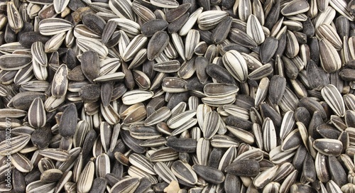 Sonnenblumenkerne