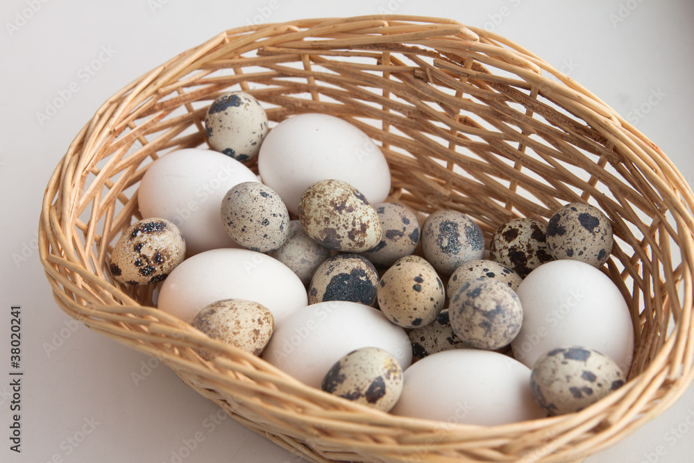 egg basket egg basket