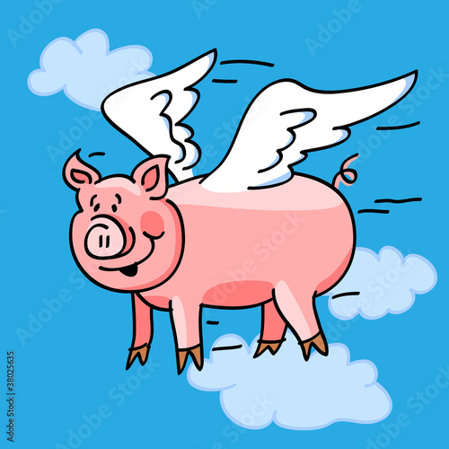 Flying pig