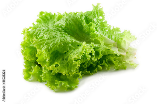 green salad leaf