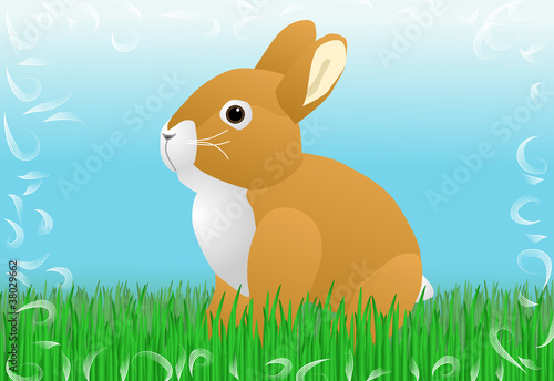Hase im Gras