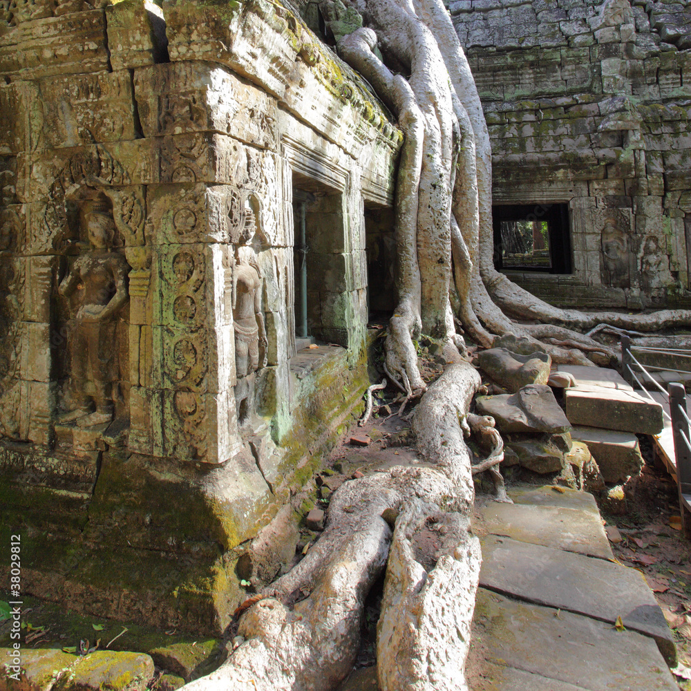 Naklejka premium Ta Prohm temple