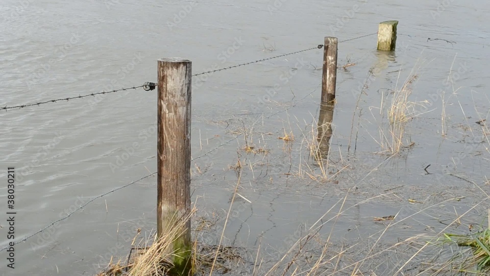 Hochwasser, Weide unter Wasser Hochwasser, Weide unter Wasser