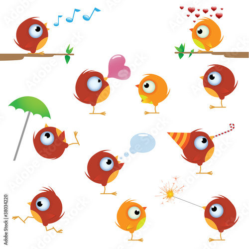 Funny cartoon canaries bird set