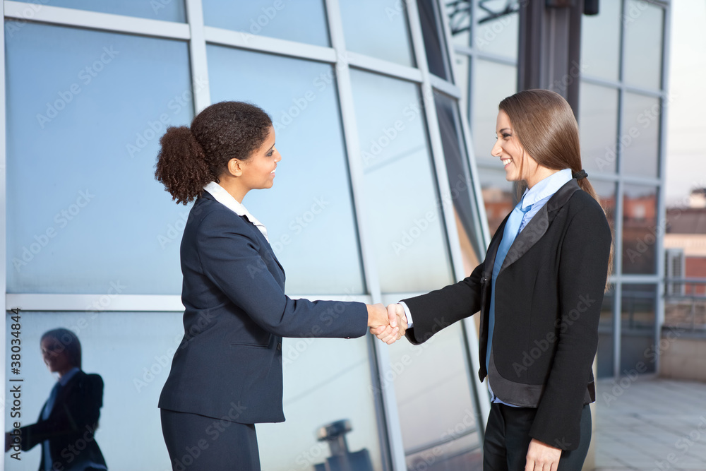 Fototapeta premium businesswomen shaking hands
