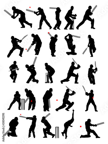 25 detail cricket poses in silhouette photo
