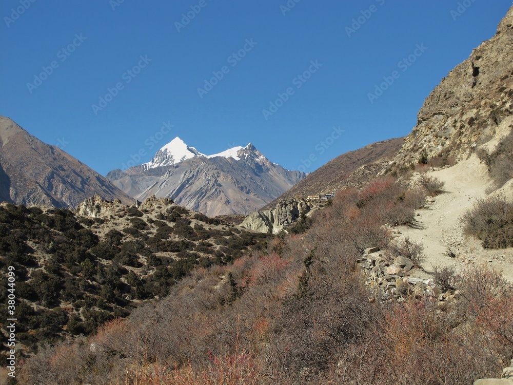 View of a mountain range named Muktinath Himal, Nepal