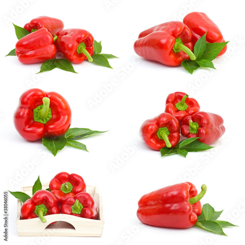 collection of pepper fruits