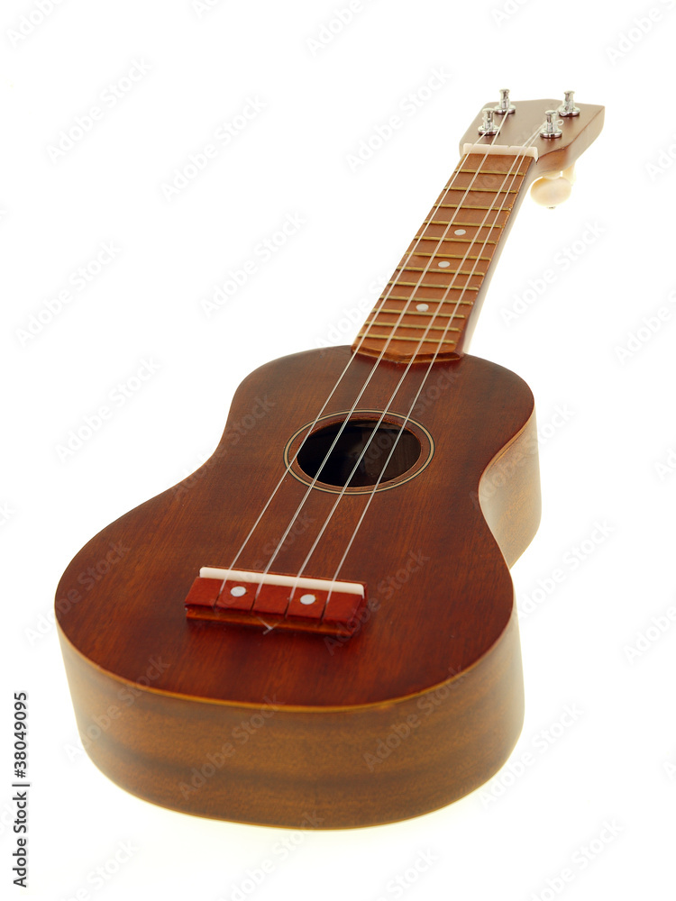 Obraz premium ukulele