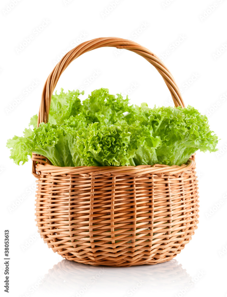 Fototapeta premium green leaves lettuce in the basket isolated on white background