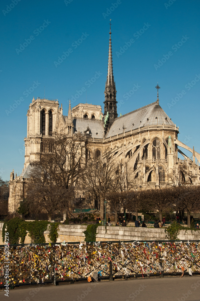 Obraz premium Notre dame de Paris