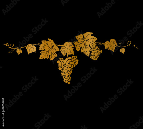 Goldene Weinrebe