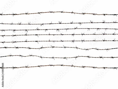 Barbed Wire