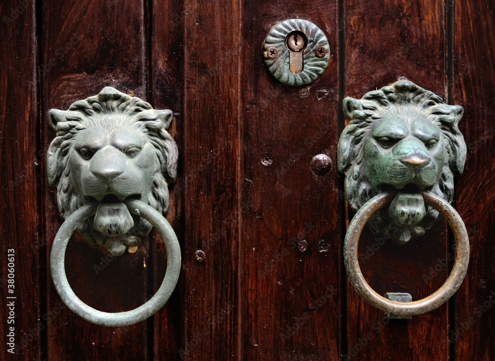 double lion knobs on an old wooden gate